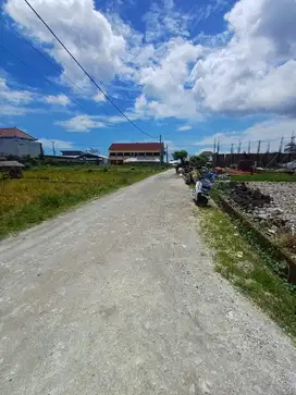 TANAH PREMIUM PURA DEMAKJALAN 10 METER