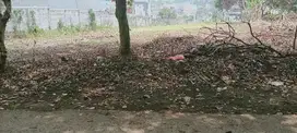 dijual tanah di gunung sindur