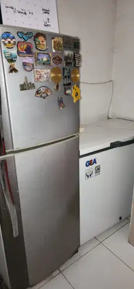 Beli freezer bonus kulkas