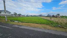 Tanah Pantai Lima Pererenan Badung