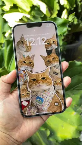 Iphone 14+ inter
