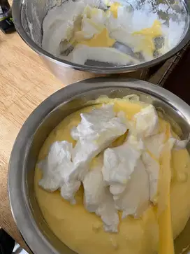 DICARI PEMBANTU ART BISA RAWAT KUCING KELAPA GADING