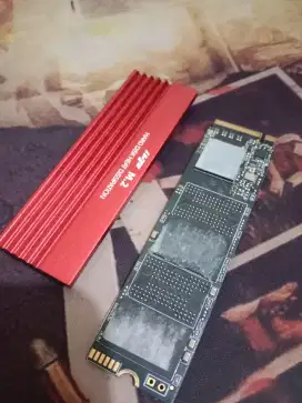 nvme 256gb venomrx