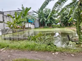 Dijual tanah Di Wonorejo Selatan