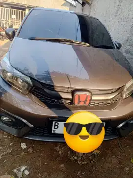 2019 Brio Manual