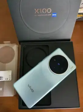 Vivo X100 8/256