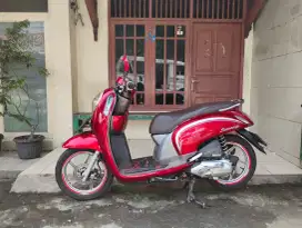 Honda scoopy 2016