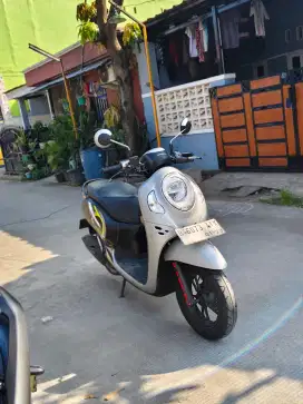 Honda Scoopy Cbs Iss 2023