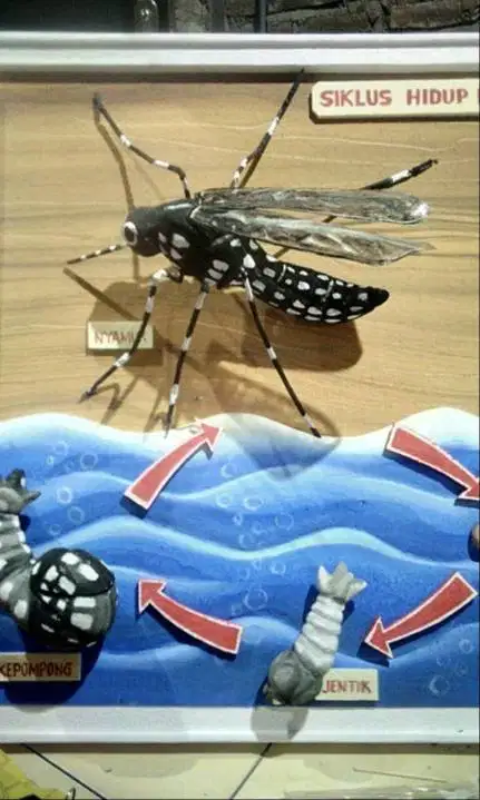 Sterofoam 3D ,dekorasi pameran panggung