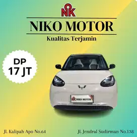 (SPT BARU KM1RB) BINGUO EV 410 PREMIUM RANGE 2024/2025 AT