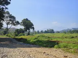 Tanah di cisarua puncak bogor 2 menit ke jalan raya