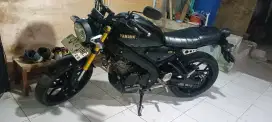 Yamaha CSR 2023