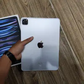 Apple ipad pro m2 11 inch 256gb Wifi cellular second iBox like new