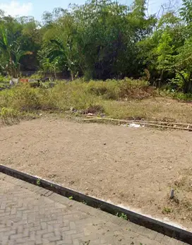 TANAH LUAS 84 JALAN JAWA JEMBER