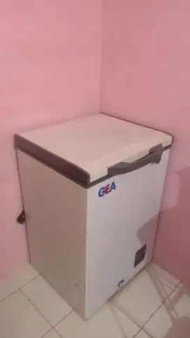 Freezer Gea 100 L