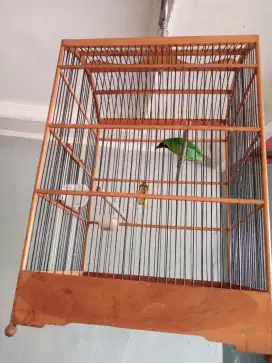 Sangkar burung fulset
