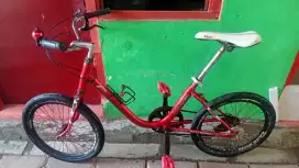 Sepeda Minitrack phoenix 20