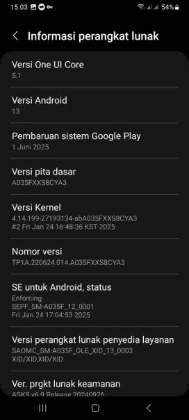 Samsung A03 normal