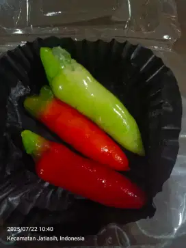 Jual Kue Luchuf