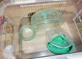 Preloved pet cargo kandang hamster / reptile / small pet