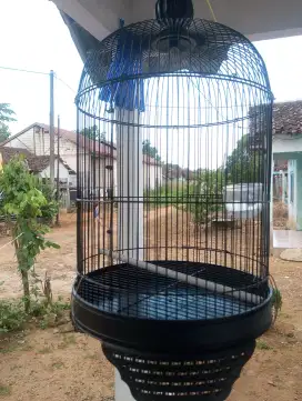 Di jual Sangkar burung bekas