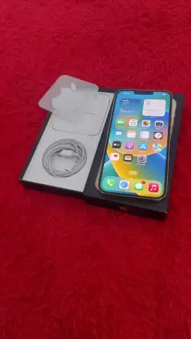 IPhone 13 pro max 512 gb ibox gold