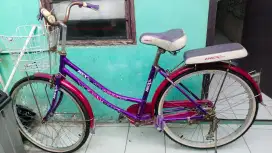 Sepeda dewasa merk trex lotus
