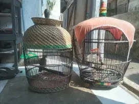Perkutut bangkok dan silangan plus kandang,,