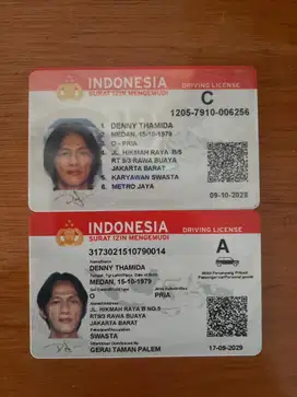 Mencari lowongan  pekerjaan Supir pribadi/ Driver