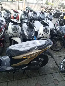 di cari karyawan pengalaman marketing