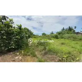 DIJUAL TANAH JALAN BESAR DELI TUA - PANCUR BATU (Surya)