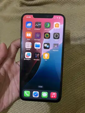 Fs Iphone Xsmax
