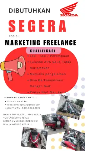 Marketing Freelance