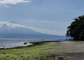 Dijual tanah los pantai dekat taman nasional bali barat