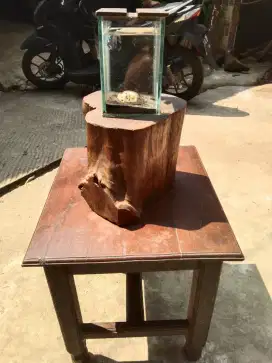 Jual murah akuarium ikan cupang