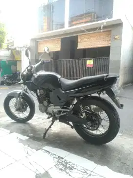 Tiger lawas jakarta