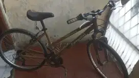 Sepeda bekas merek evergreen