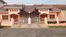 Disewakan Rumah Nyaman dengan pemandangan yang asri
