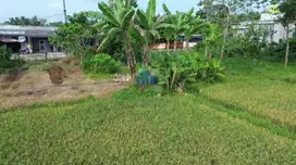 Dijual Tanah di Rancabuaya, Jambe, Tangerang - Banten.