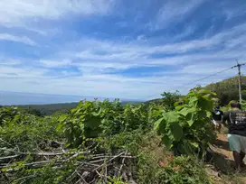 Dijual tanah view laut dekat rencana bali utara