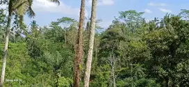 tanah premium  pemandangan sawah tebing dan sungai di  utara ubud