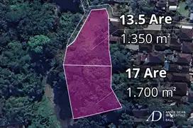 FREEHOLD RIVERFRONT LAND JUNGLE VIEWS - PRIME INVESTMENT IN CEPAKA