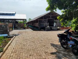 Lahan Produktif / Peternakan Domba Cocok Untuk Usaha Dimasa Pensiun