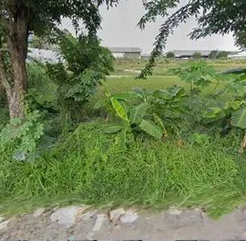 Kavling Tahan Di Cangkir