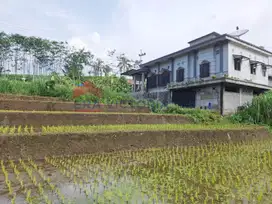 Tanah Luas Lokasi Ngantang Dekat Pasar Ngantang Cocok untuk Berkebun
