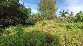 Freehold - Riverside Land for Sale in Prime Canggu, Bali Location