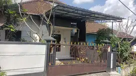 Rumah LT 75m Hadap Utara di Sanggulan Tabanan