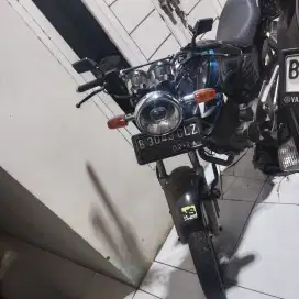 Tiger 2000 Ganteng