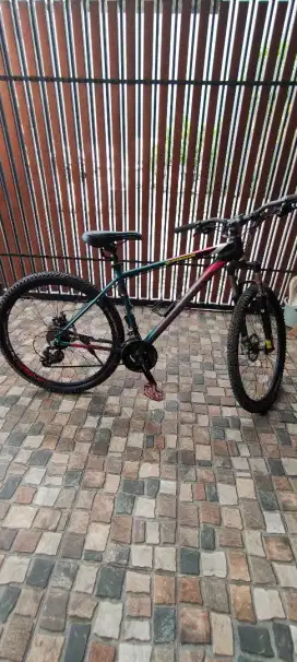 sepeda MTB  polygon cascade