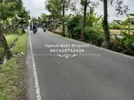 Tanah Murah Disewakan Luas 600 m2 Pinggir Jalan Utama di Ubud